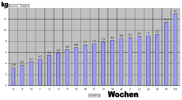 gewichte