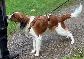 Richtige Person Trail2